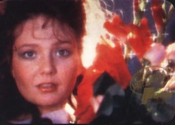 1991